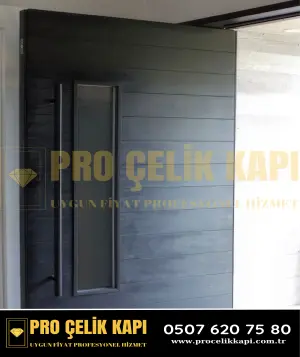 Kağıthane Pivot Kapı - Model 38